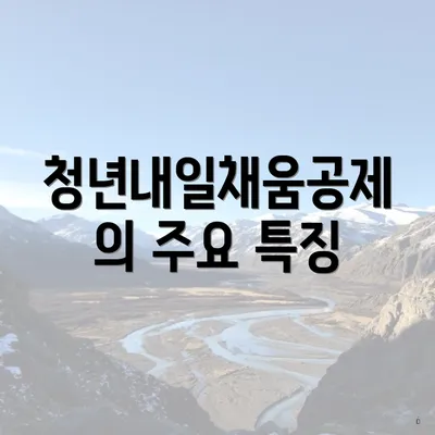 청년내일채움공제의 주요 특징