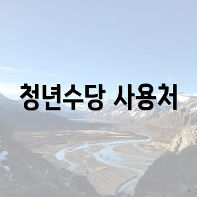 청년수당 사용처