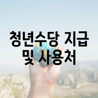 청년수당 지급 및 사용처