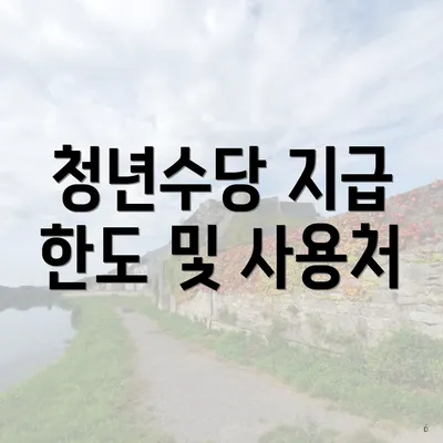 청년수당 지급 한도 및 사용처