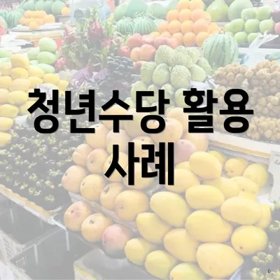 청년수당 활용 사례