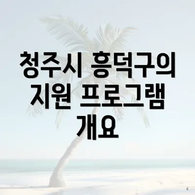 청주시 흥덕구의 지원 프로그램 개요