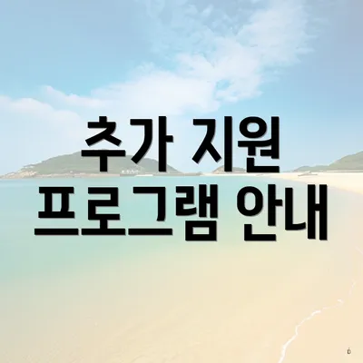 추가 지원 프로그램 안내