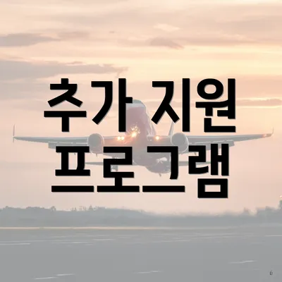 추가 지원 프로그램