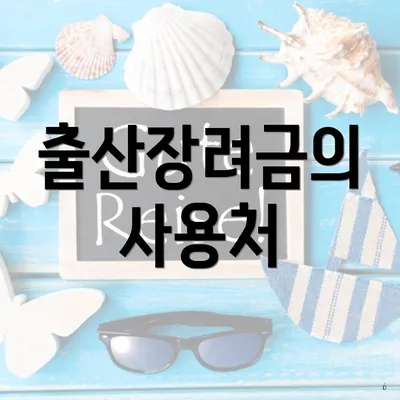 출산장려금의 사용처