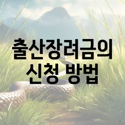 출산장려금의 신청 방법
