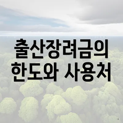 출산장려금의 한도와 사용처