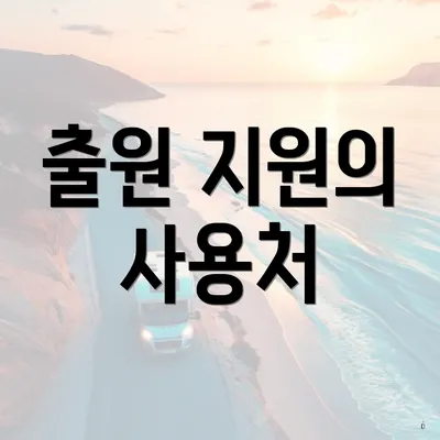 출원 지원의 사용처