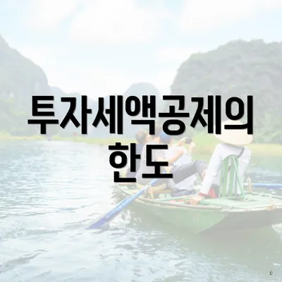 투자세액공제의 한도
