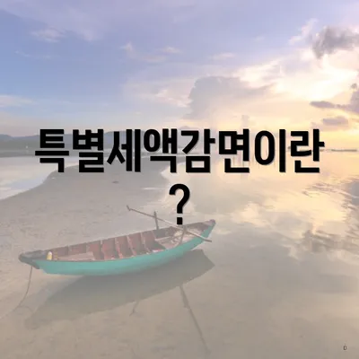 특별세액감면이란?