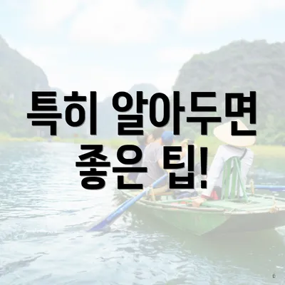 특히 알아두면 좋은 팁!