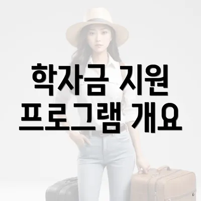 학자금 지원 프로그램 개요
