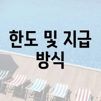 한도 및 지급 방식
