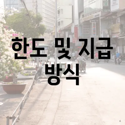 한도 및 지급 방식