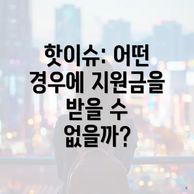 핫이슈: 어떤 경우에 지원금을 받을 수 없을까?
