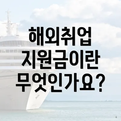 해외취업 지원금이란 무엇인가요?