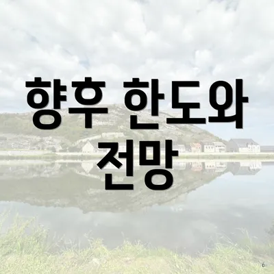 향후 한도와 전망