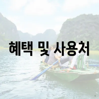혜택 및 사용처
