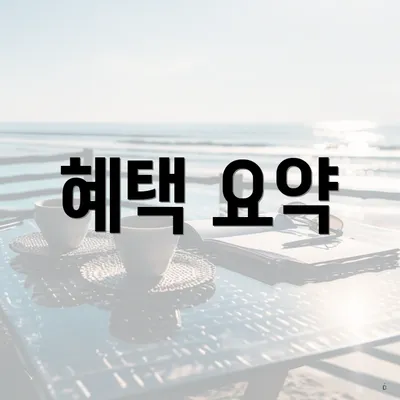 혜택 요약