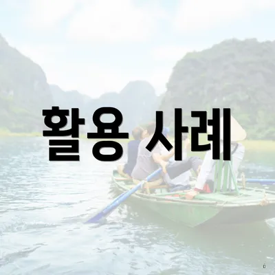 활용 사례