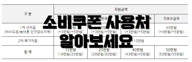 소비쿠폰 사용처 알아보세요