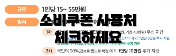 소비쿠폰 사용처 체크하세요