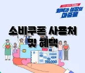소비쿠폰 사용처 및 혜택