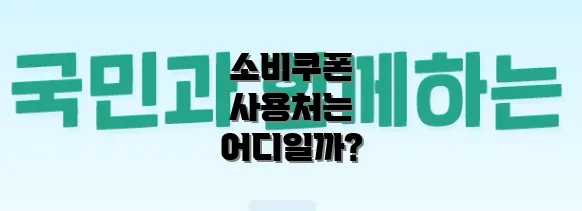 소비쿠폰 사용처는 어디일까?