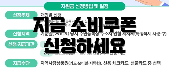 지금 소비쿠폰 신청하세요