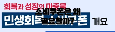 소비쿠폰은 왜 필요할까?