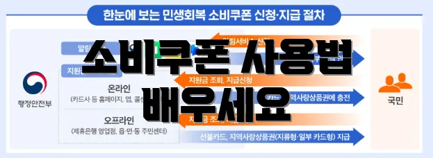 소비쿠폰 사용법 배우세요