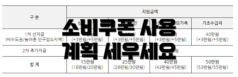 소비쿠폰 사용 계획 세우세요