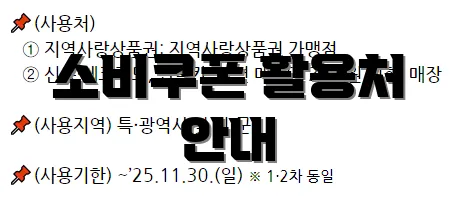 소비쿠폰 활용처 안내