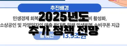 2025년도 추가 정책 전망