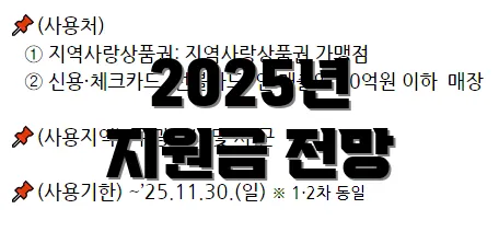 2025년 지원금 전망