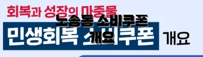 노송동 소비쿠폰 개요