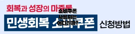 소비쿠폰 사용처는 어디일까?