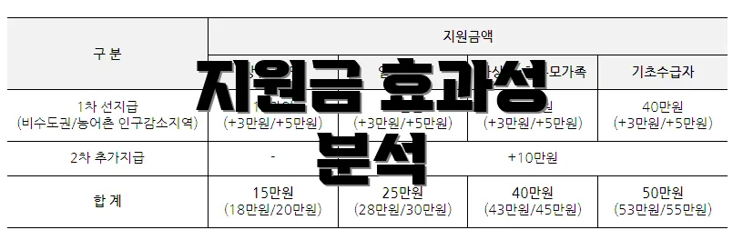 지원금 효과성 분석