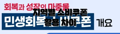 지역별 소비쿠폰 활용 차이
