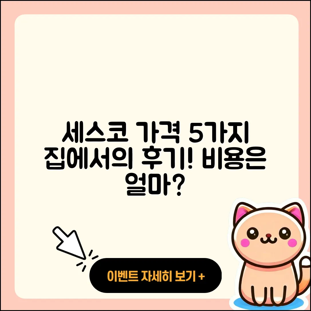 세스코 가정집 가격과 비용 5가지 후기