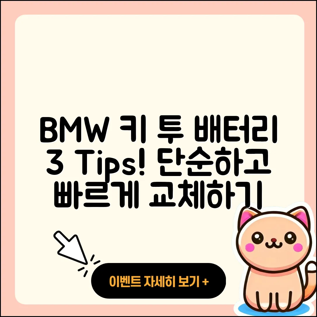 BMW 차키 배터리 교환하는 3가지 팁